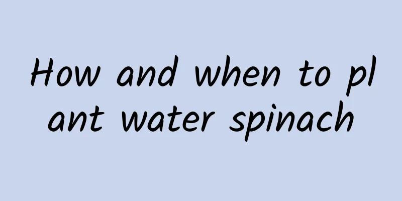 How and when to plant water spinach