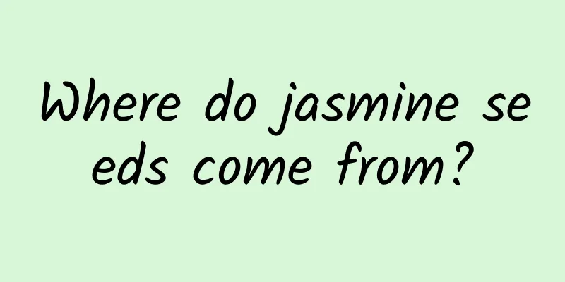 Where do jasmine seeds come from?