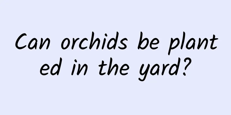 Can orchids be planted in the yard?