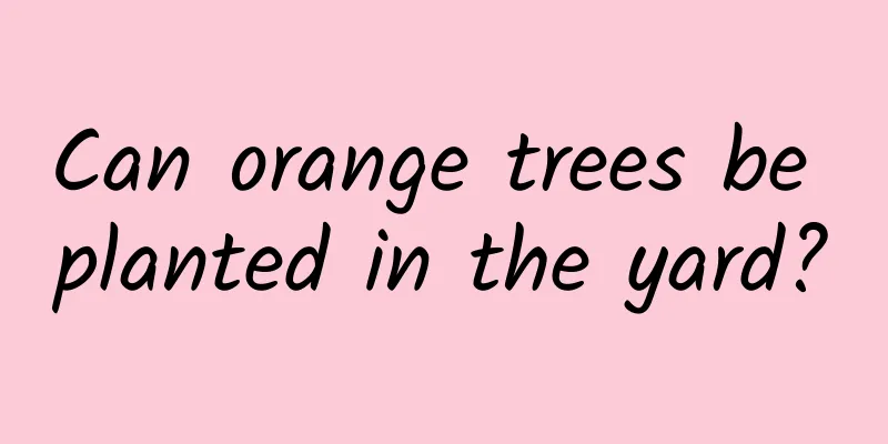 Can orange trees be planted in the yard?