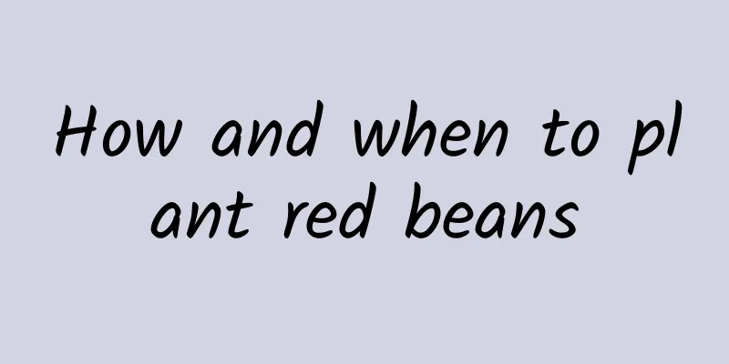 How and when to plant red beans
