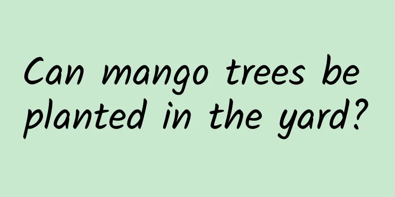 Can mango trees be planted in the yard?