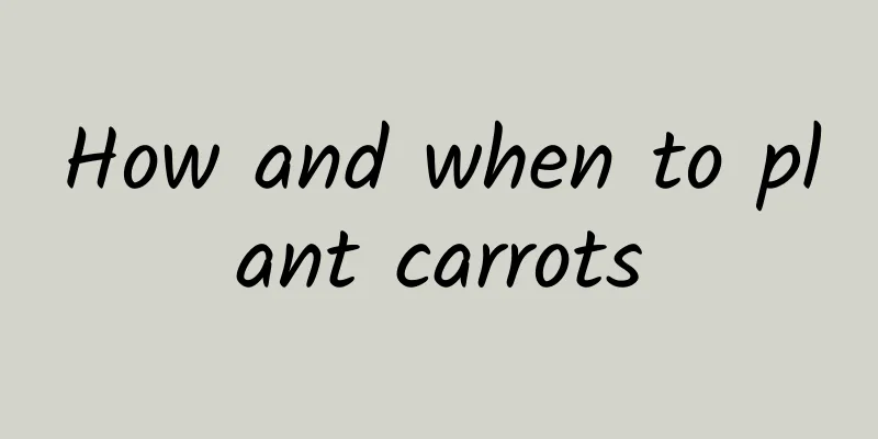How and when to plant carrots