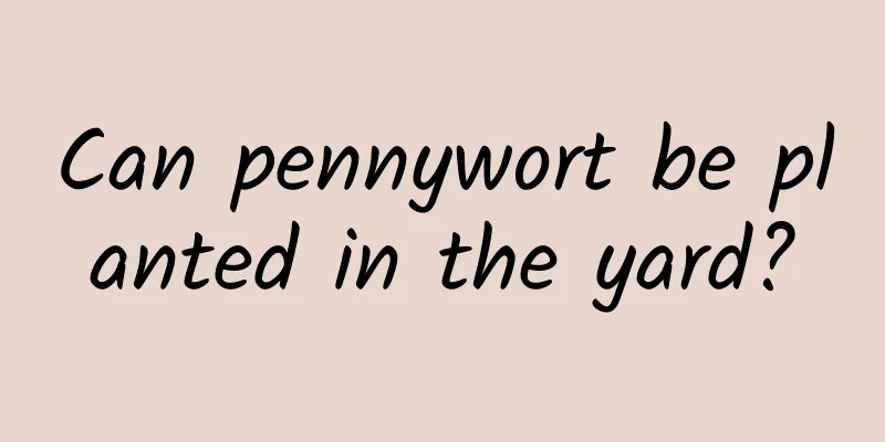 Can pennywort be planted in the yard?