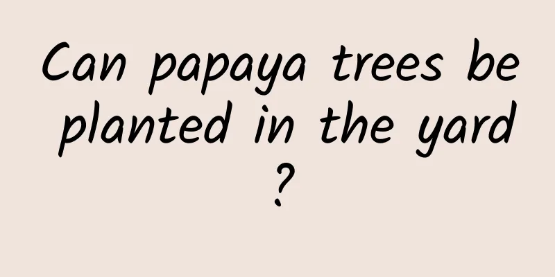 Can papaya trees be planted in the yard?