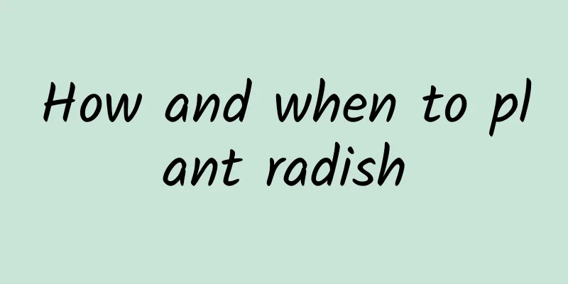 How and when to plant radish
