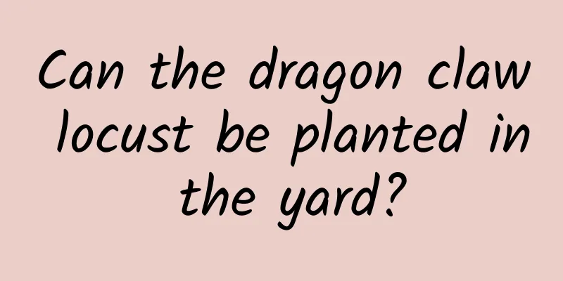 Can the dragon claw locust be planted in the yard?