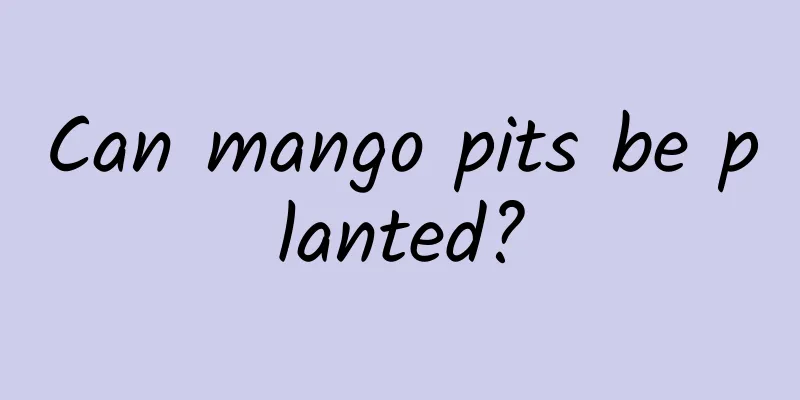 Can mango pits be planted?