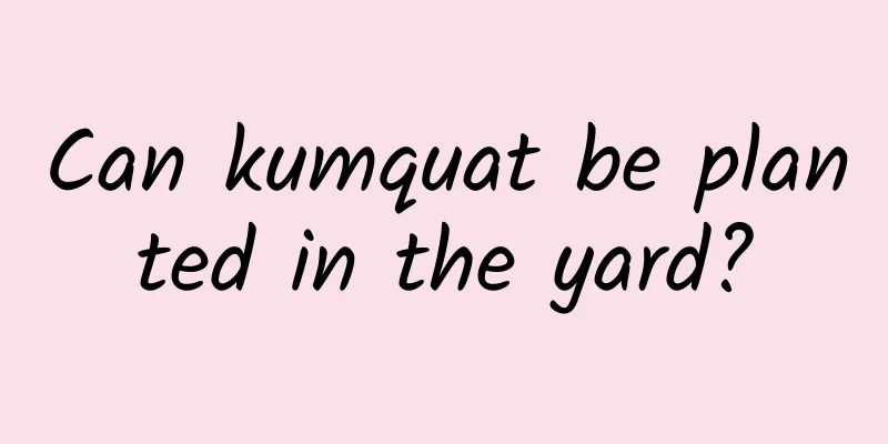 Can kumquat be planted in the yard?