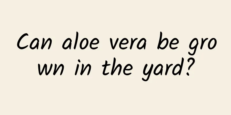 Can aloe vera be grown in the yard?