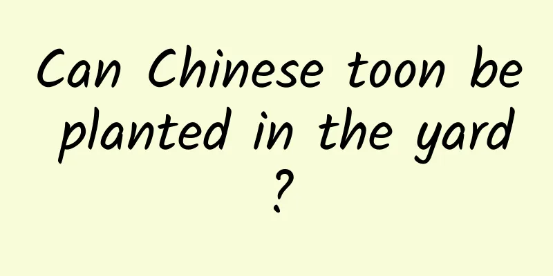 Can Chinese toon be planted in the yard?