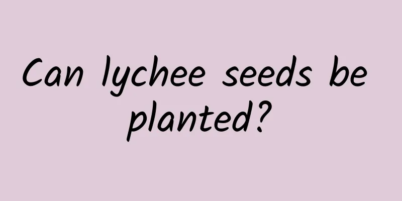 Can lychee seeds be planted?