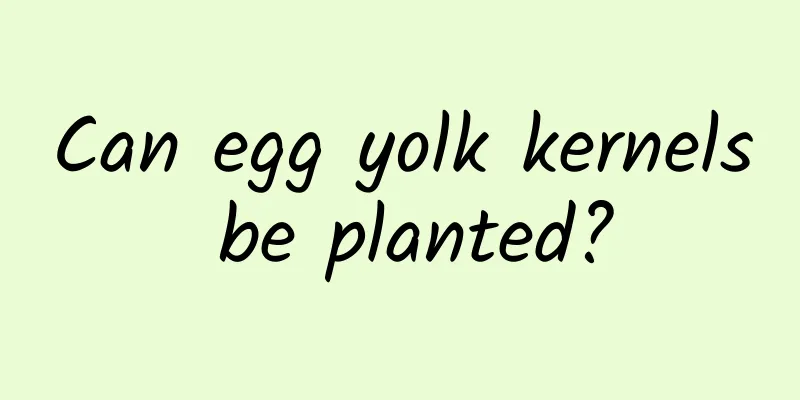 Can egg yolk kernels be planted?