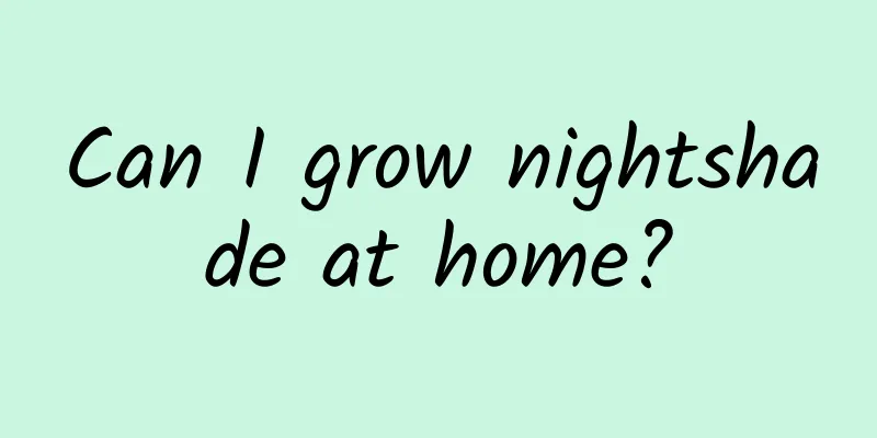 Can I grow nightshade at home?