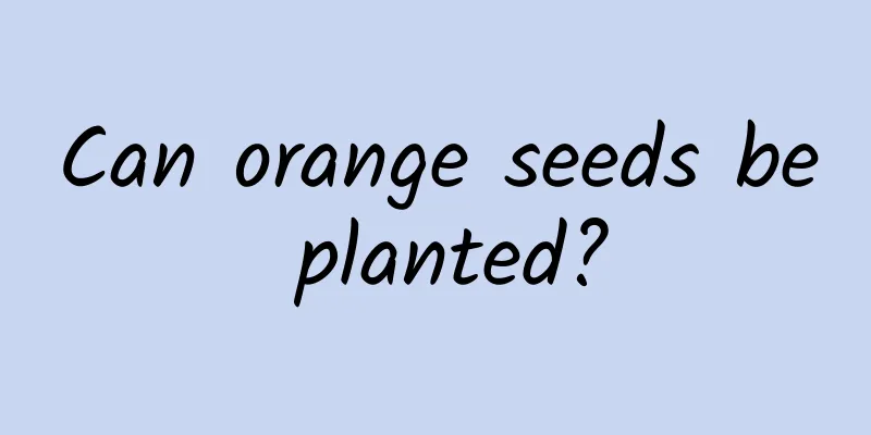 Can orange seeds be planted?