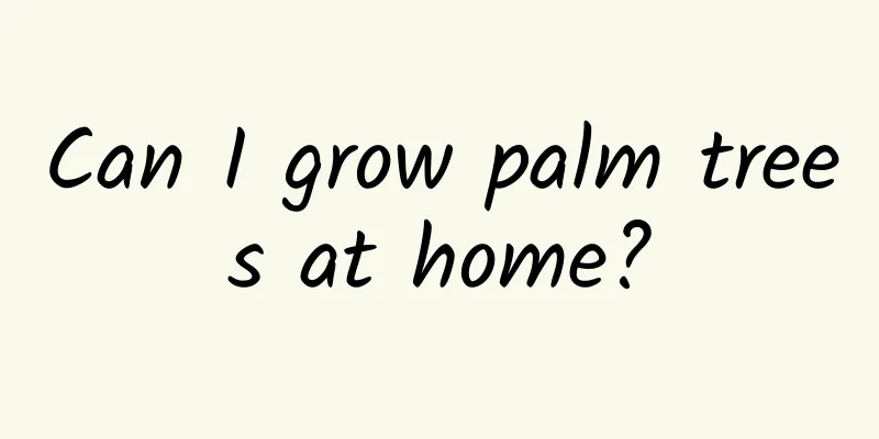 Can I grow palm trees at home?