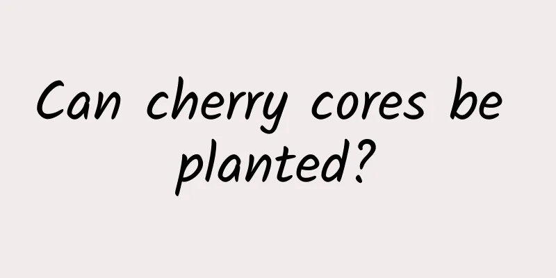 Can cherry cores be planted?