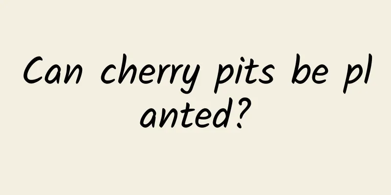 Can cherry pits be planted?