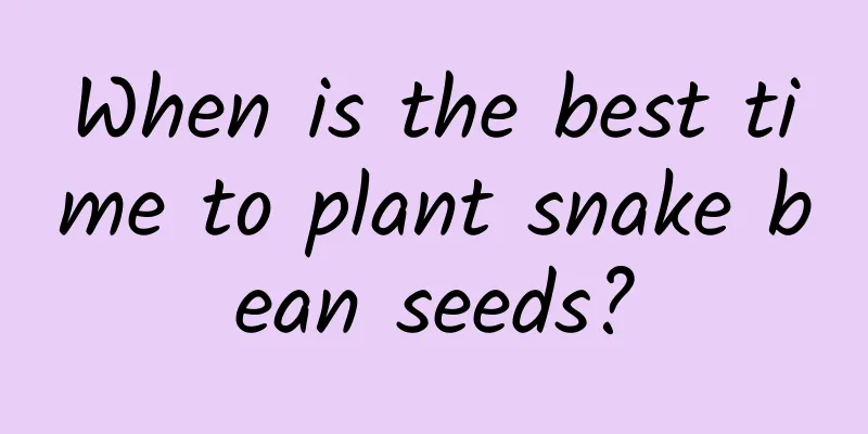 When is the best time to plant snake bean seeds?