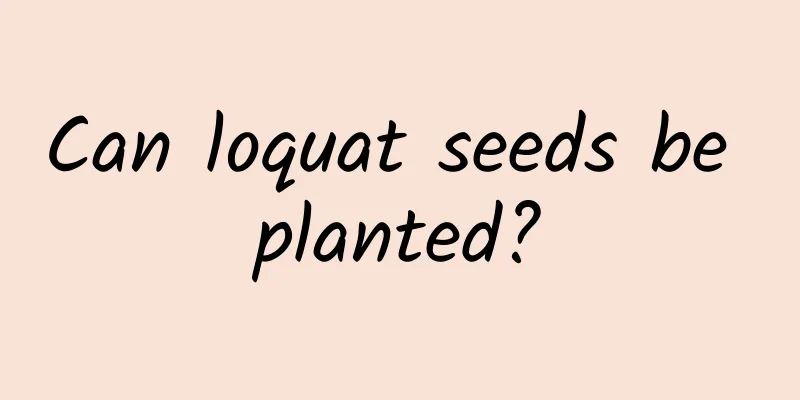 Can loquat seeds be planted?
