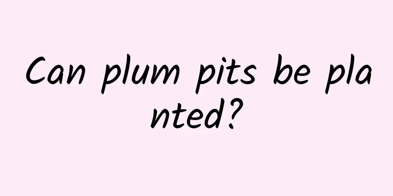 Can plum pits be planted?