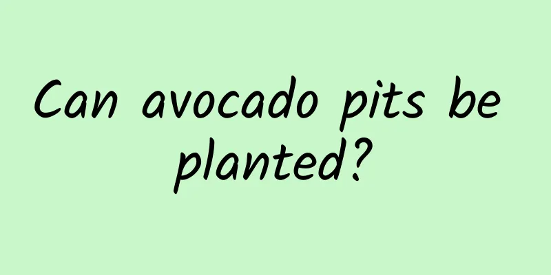 Can avocado pits be planted?