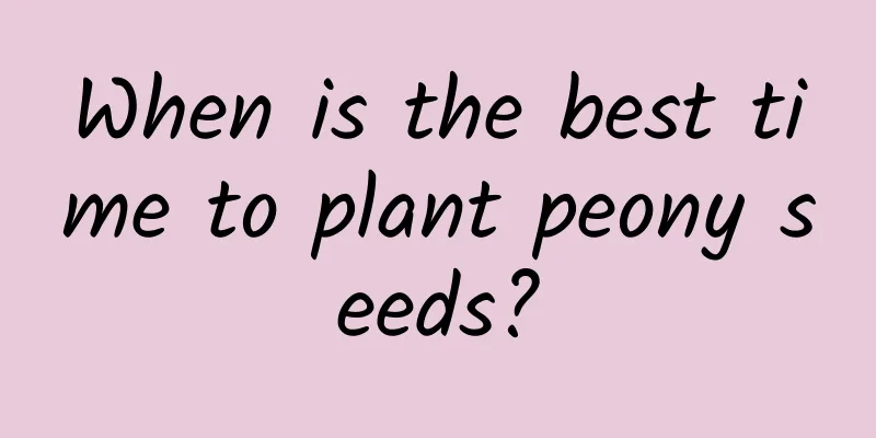 When is the best time to plant peony seeds?