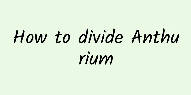 How to divide Anthurium