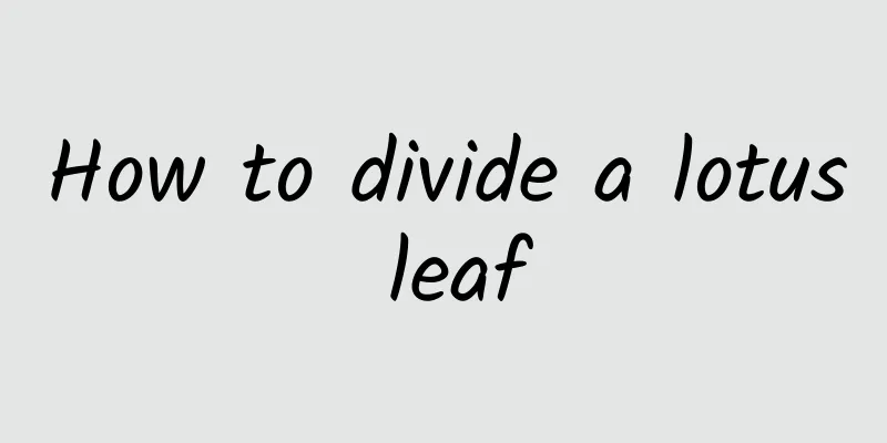 How to divide a lotus leaf