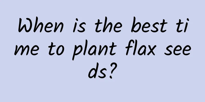 When is the best time to plant flax seeds?
