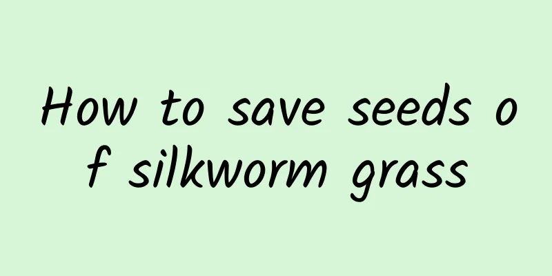 How to save seeds of silkworm grass