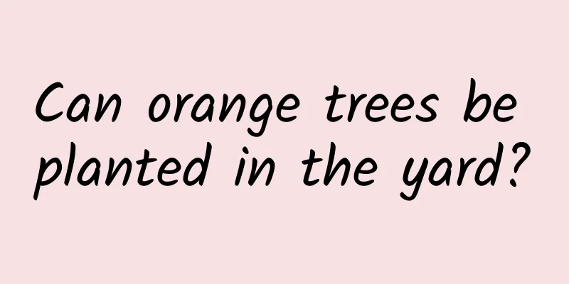 Can orange trees be planted in the yard?