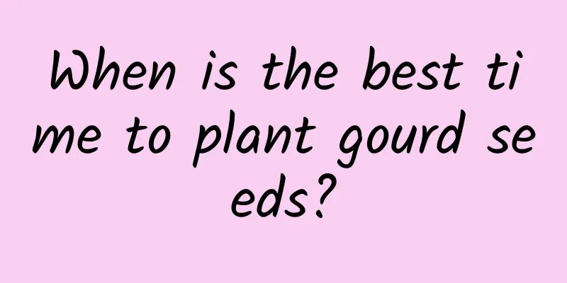 When is the best time to plant gourd seeds?