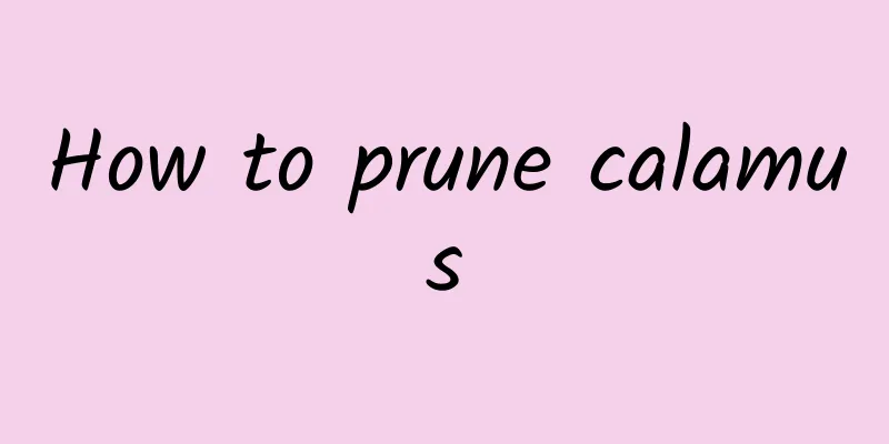 How to prune calamus