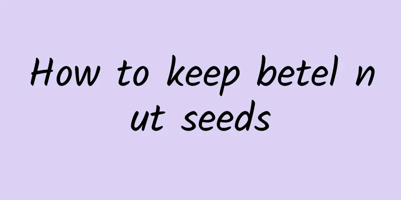 How to keep betel nut seeds