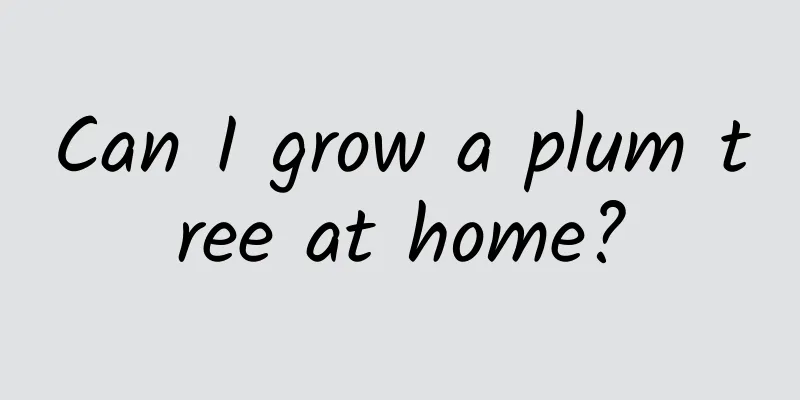 Can I grow a plum tree at home?