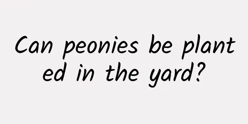 Can peonies be planted in the yard?