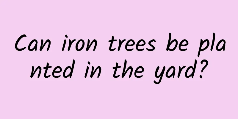 Can iron trees be planted in the yard?