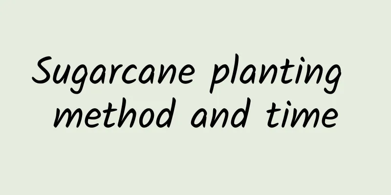 Sugarcane planting method and time
