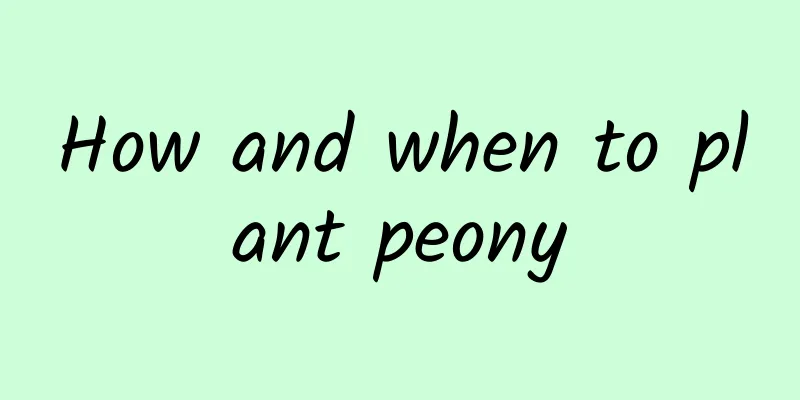 How and when to plant peony