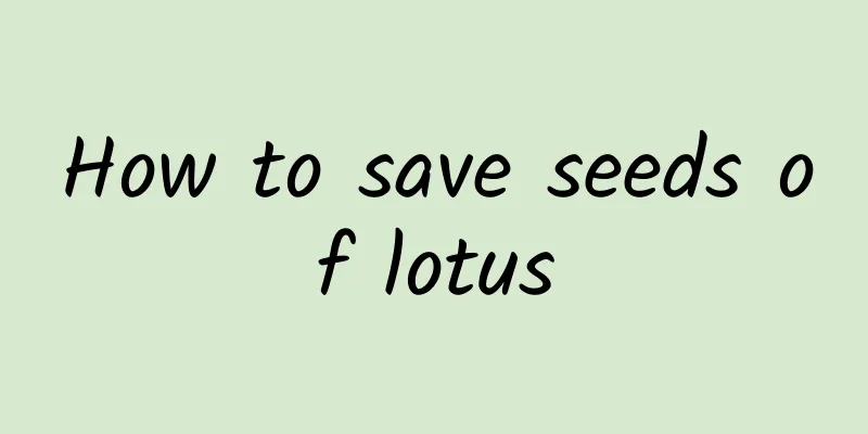 How to save seeds of lotus