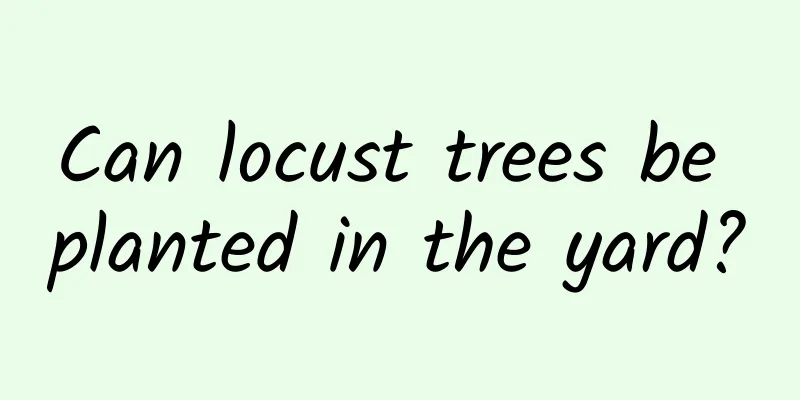 Can locust trees be planted in the yard?