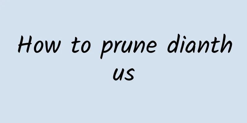 How to prune dianthus