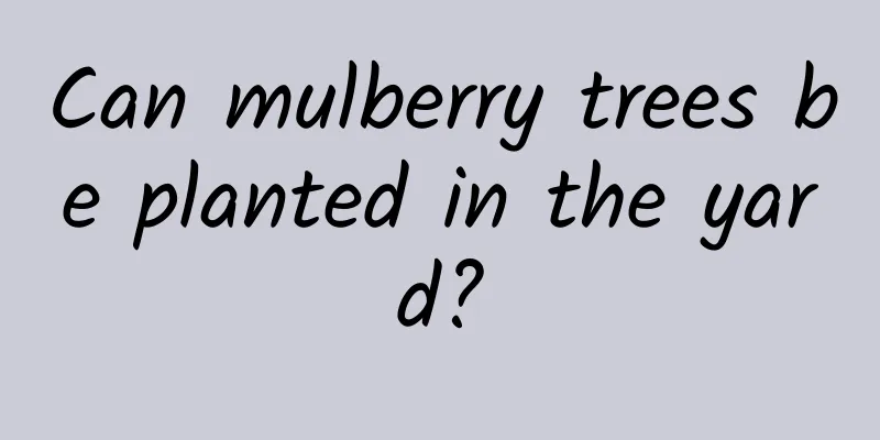 Can mulberry trees be planted in the yard?