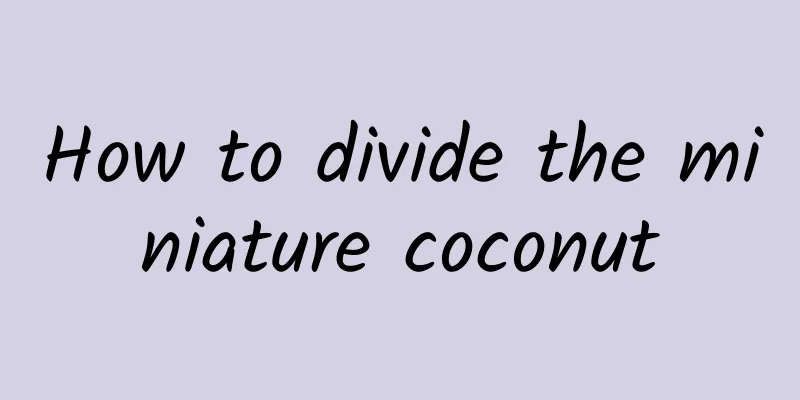 How to divide the miniature coconut