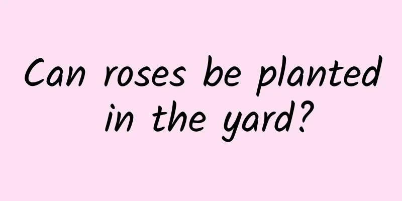 Can roses be planted in the yard?