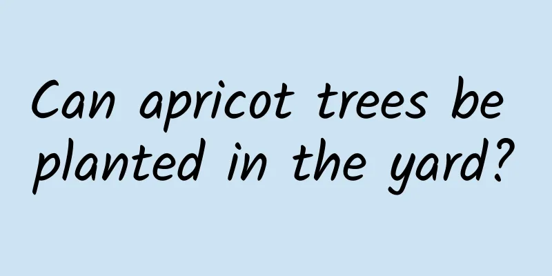 Can apricot trees be planted in the yard?