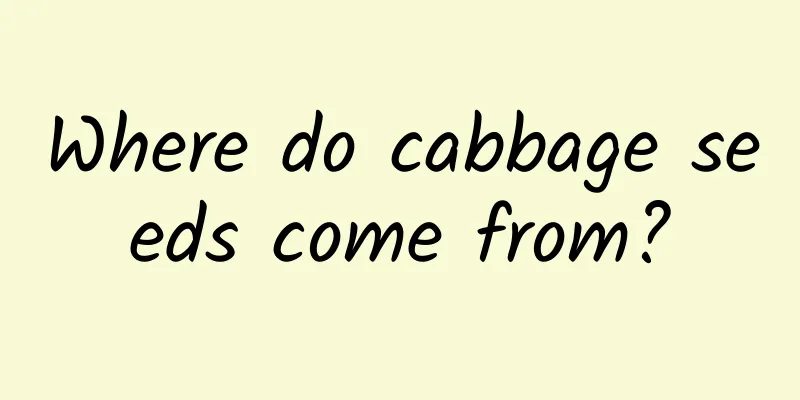 Where do cabbage seeds come from?