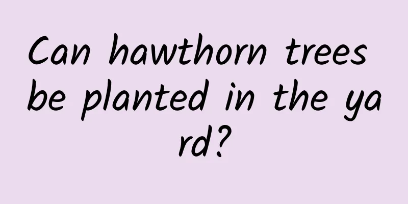 Can hawthorn trees be planted in the yard?