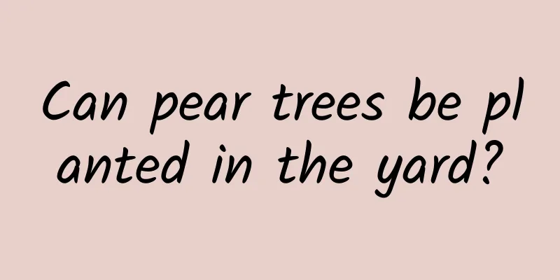 Can pear trees be planted in the yard?